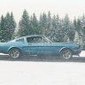 65Fastbackman
